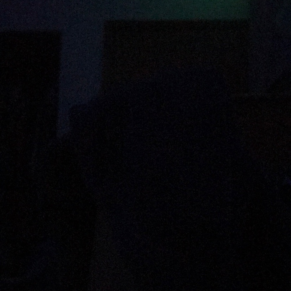 Meet your Posher, Molly